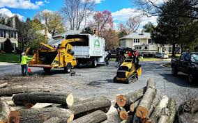 How Our Tree Care Process Works  in  Carnegie, OK